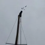 Top of the mast broken. Lowering it to scarf in a new piece exposed the extent of the damage