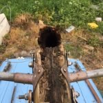 Rot at the spreaders -rotten from the inside, not much left