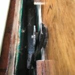 A102 Atalanta Mary Details 2017 007