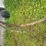 2020 10 A154 011 - toe rails