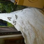 2020 10 A154 071 - mainsail