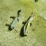 2020 10 A154 085 - backstay mounts