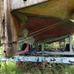 A154 Deannie in 2017 needing some love 001