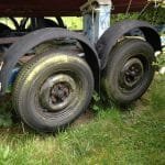 A154 Deannie in 2017 needing some love 002