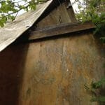 A154 Deannie in 2017 needing some love 004