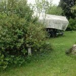 A154 Deannie in 2017 needing some love 007