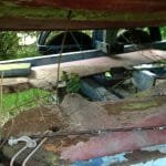 A154 Deannie in 2017 needing some love 008