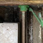 A154 Deannie in 2017 needing some love 010