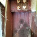 A154 Deannie in 2017 needing some love 013