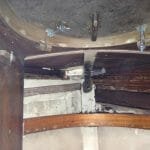 A154 Deannie in 2017 needing some love 015