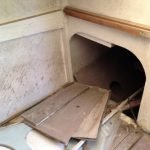 A154 Deannie in 2017 needing some love 019