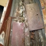 A154 Deannie in 2017 needing some love 022