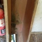 A154 Deannie in 2017 needing some love 023