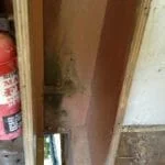 A154 Deannie in 2017 needing some love 023