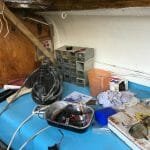 A16 Dervorguila in 2017 009