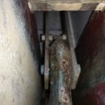 A179 Emma Duck 2016 for sale 023