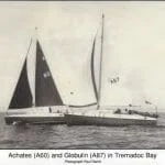 Achates and Globulin in Tremmadoc Bay (c) Paul Harris