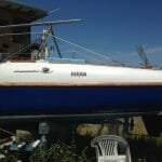 A95 Hiran For Sale in 2017 009