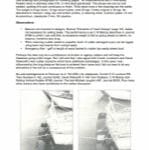 Paper Q2 Vertical Lifting Rudder