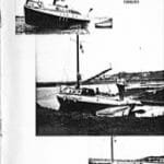 AOA Bulletin 1980-81 cover