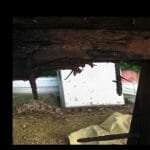 A77 2013 skeg bolts go every which way