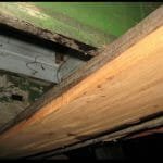 A77 Blue Goose Bottom repairs 2013 - WOW