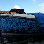 A136 Amsara looking for a new home near Portsmouth - 2015