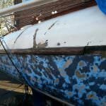 A136 Amsara looking for a new home near Portsmouth - 2015