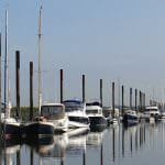 A89 and A102 snuggling up on the Piles at West Mersea 2017