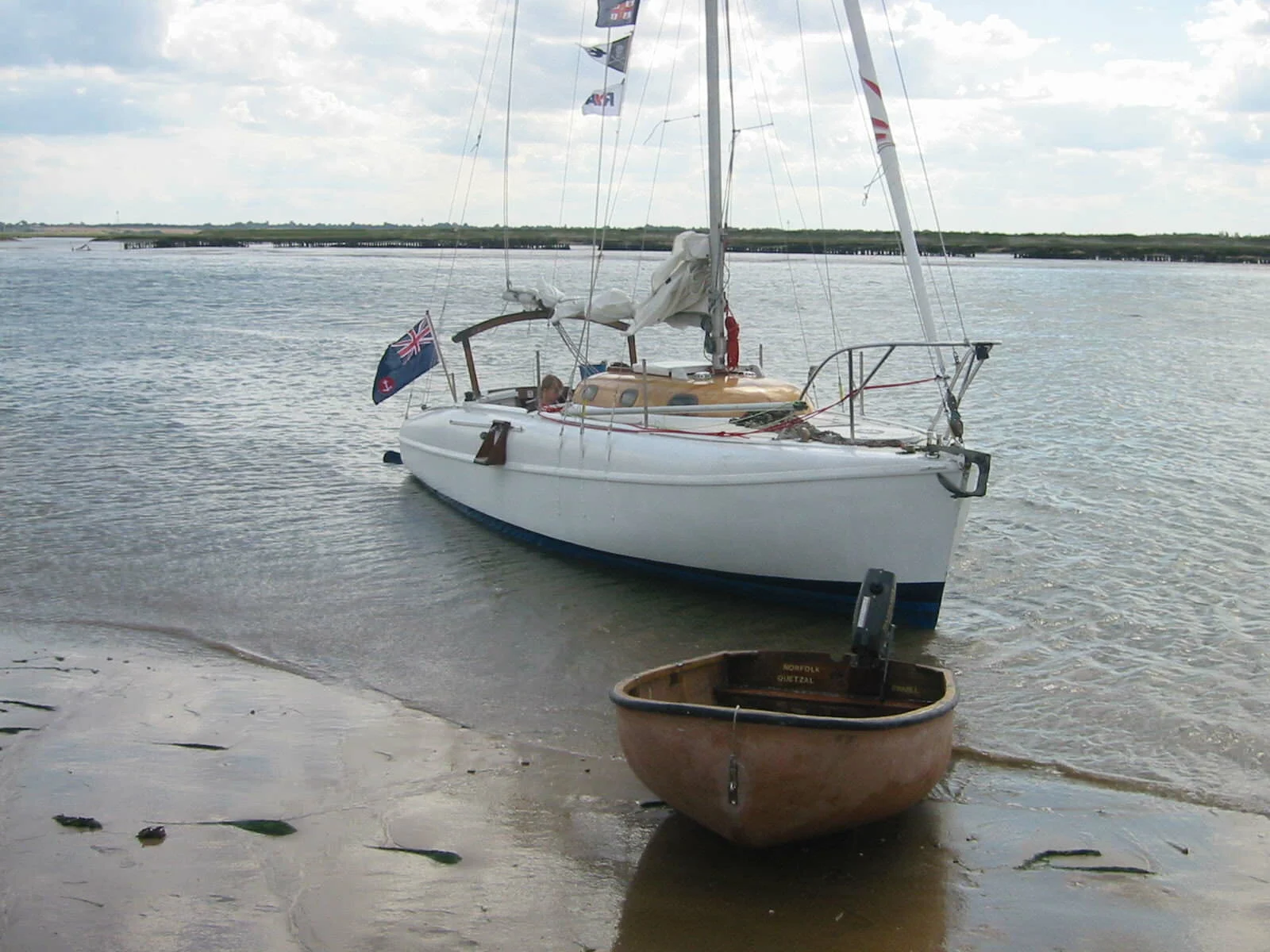 A17 Gambol is for Sale