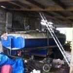 2016 A117 Turtle Rescued from her barn