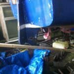 2016 A117 Turtle Rescued from her barn