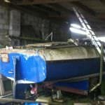 2016 A117 Turtle Rescued from her barn