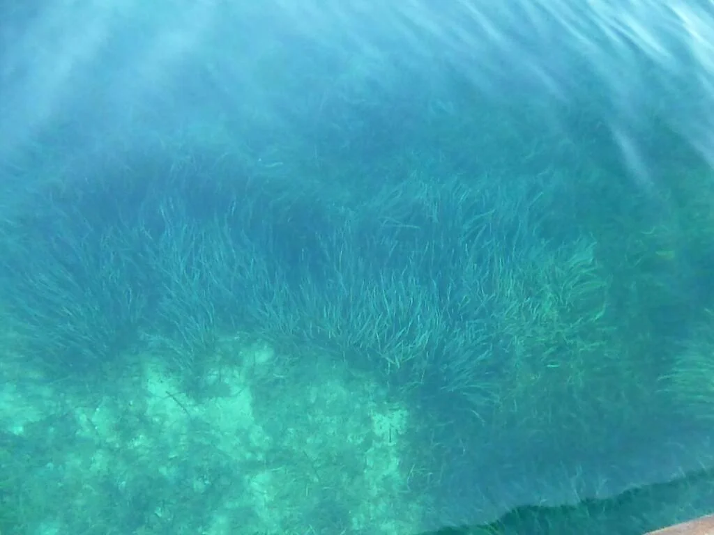 Isola Asinara