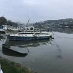 Petesark in Truro