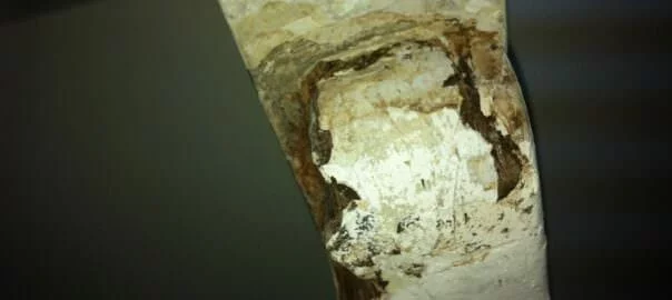 Inside the keel box