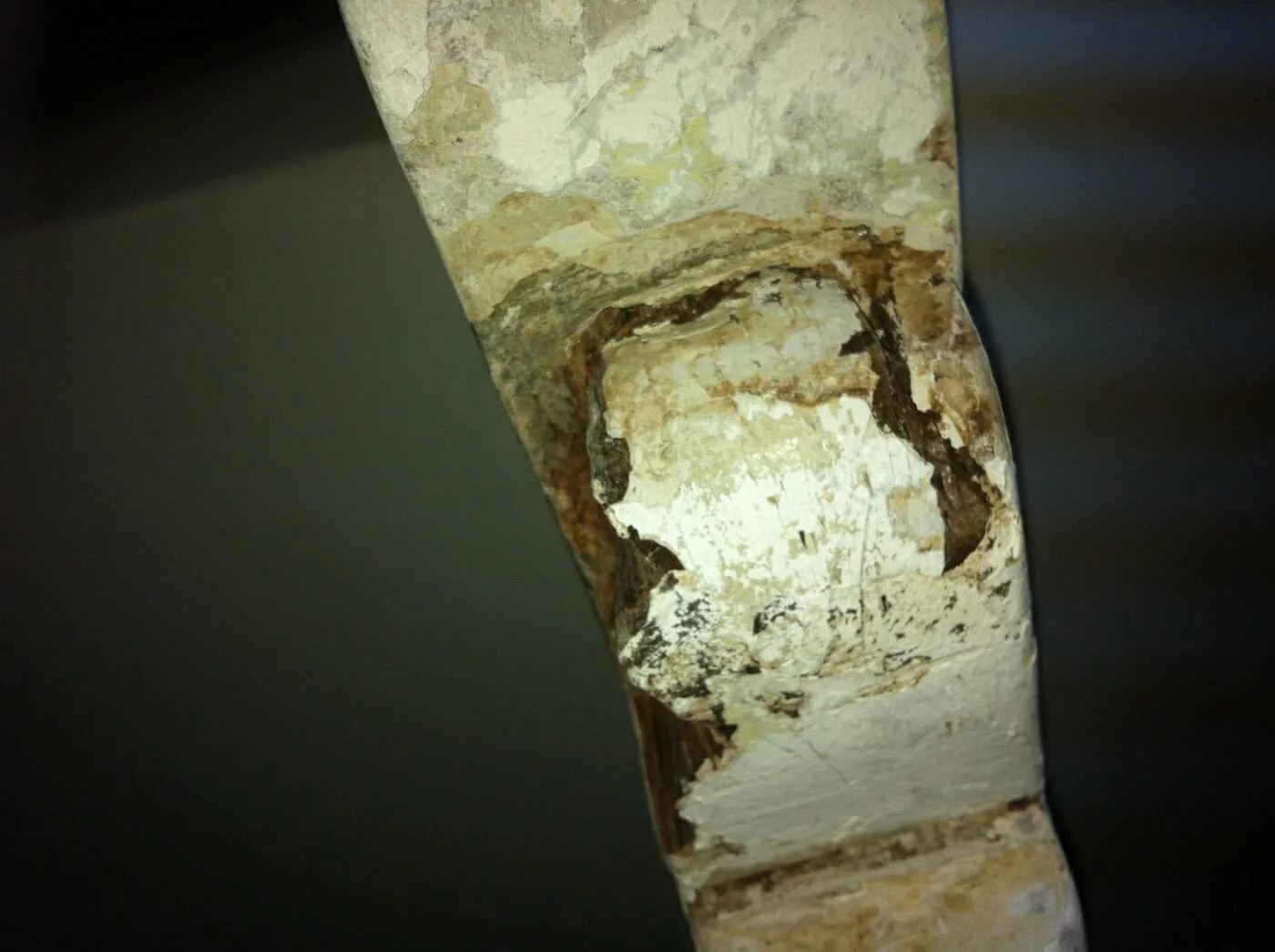 2012 A89 Rudder Pintle