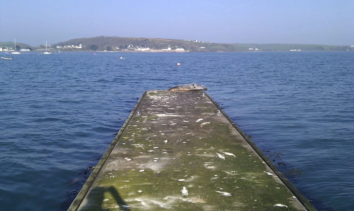2011 Callista Easter Cruise by John