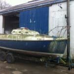 2016 A117 Turtle Rescued from her barn