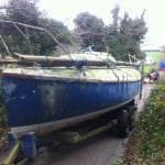 2016 A117 Turtle Rescued from her barn