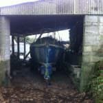 2016 A117 Turtle Rescued from her barn