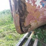 Stem details. Believed to be around 2015