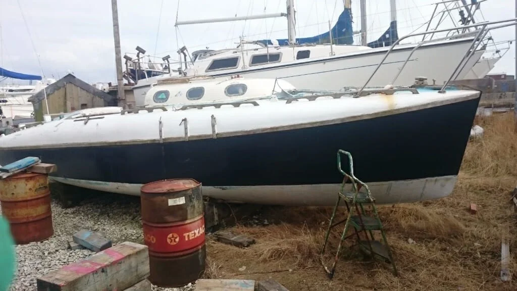 2017 Hullabaloo on Portland