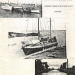 AOA Bulletin 1978-79 cover