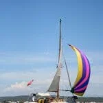 2006 Sailing