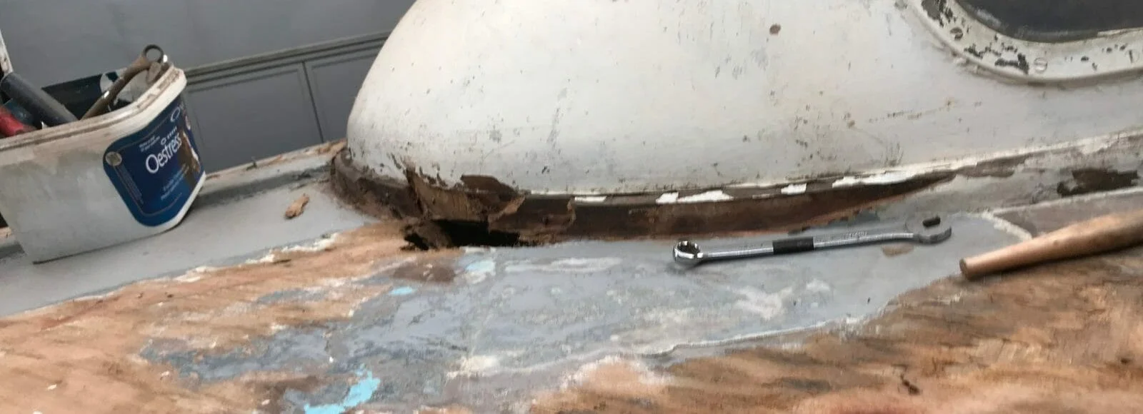 Turtle on the slow road to recovery in Cornwall