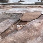 Turtle on the slow road to recovery in Cornwall