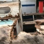 Turtle on the slow road to recovery in Cornwall