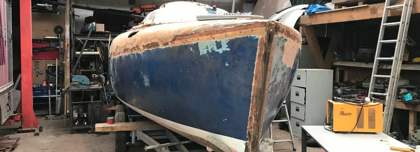 Turtle on the slow road to recovery in Cornwall