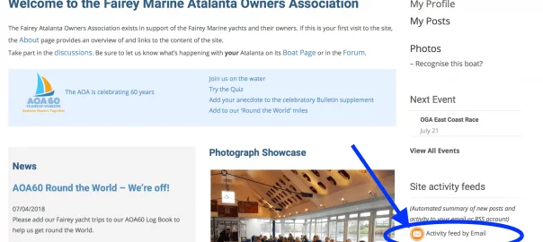 Site Activity Feed Option on Home Page